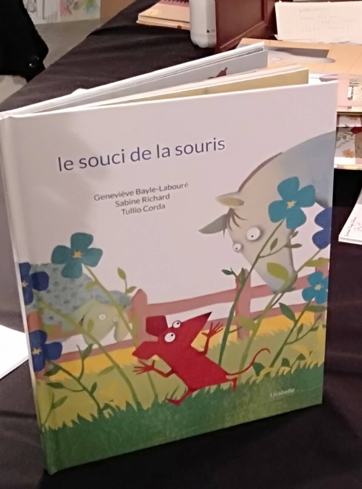 livre le souci de la sourie